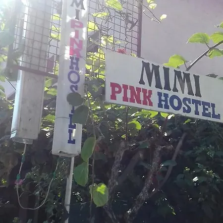 Mimi Pink Ohrid